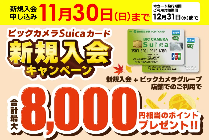 1位: ビックカメラSuicaカード