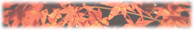 autumn-leaves01